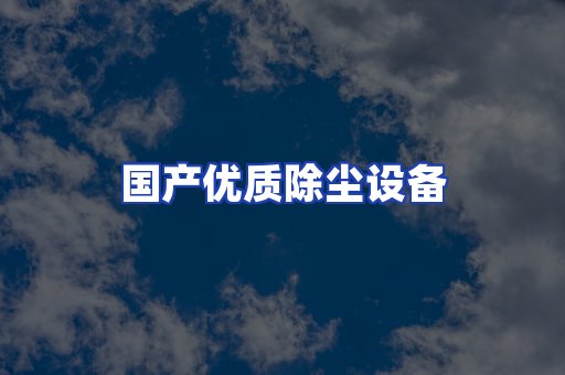 国产优质除尘设备